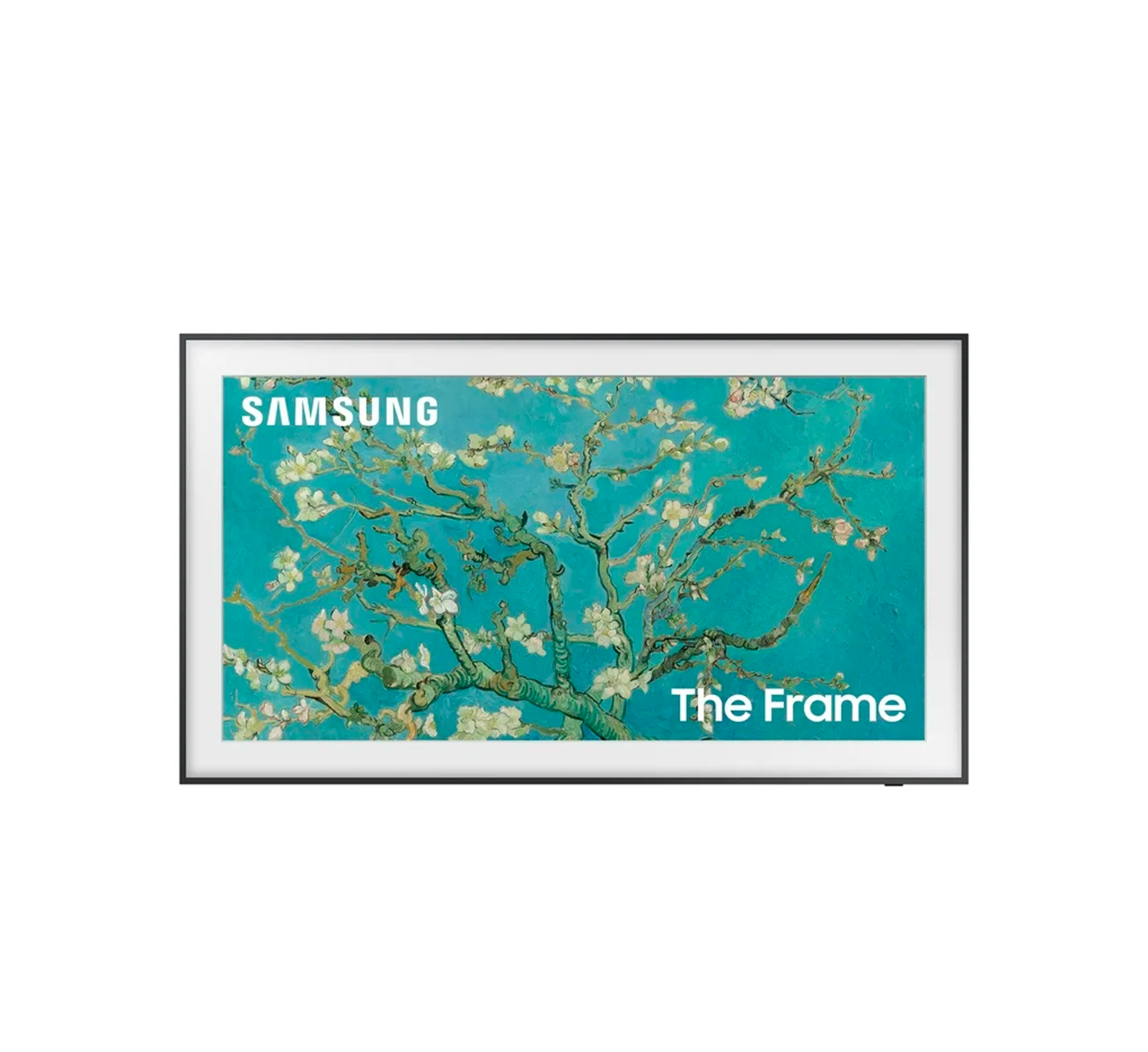 Shop Primary Image